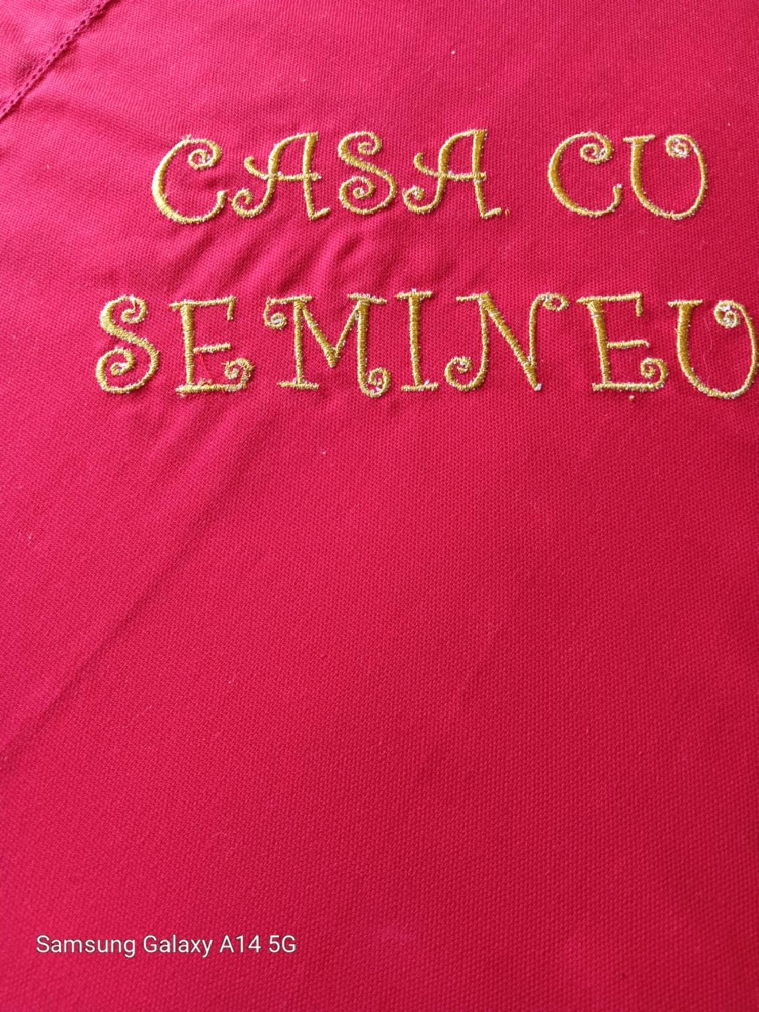 הוילה מויצ'ו דה סוס Casa Cu Semineu Moieciu מראה חיצוני תמונה